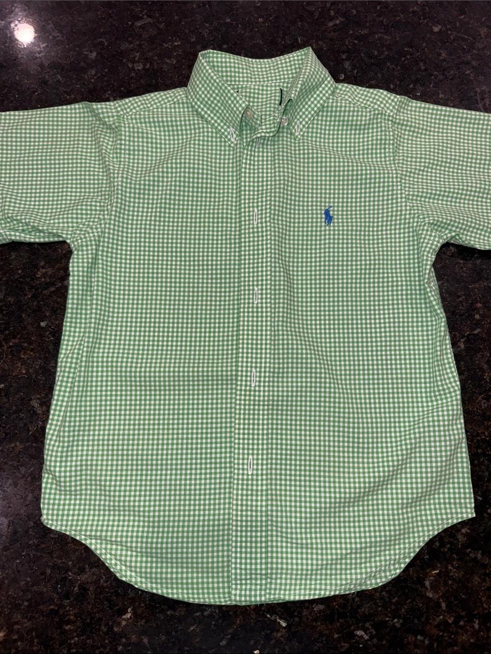 Polo by Ralph Lauren Short Sleeve Green Gingham Button-Down Shirt